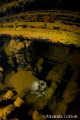   Human Skull. remains lay deep inside Heian Maru wreck Truk Lagoon Chuuk. Amanda Cotton Skull (Chuuk). (Chuuk)  